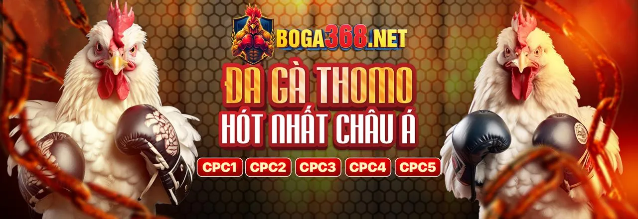 Cam kết an toàn và hỗ trợ của King 52