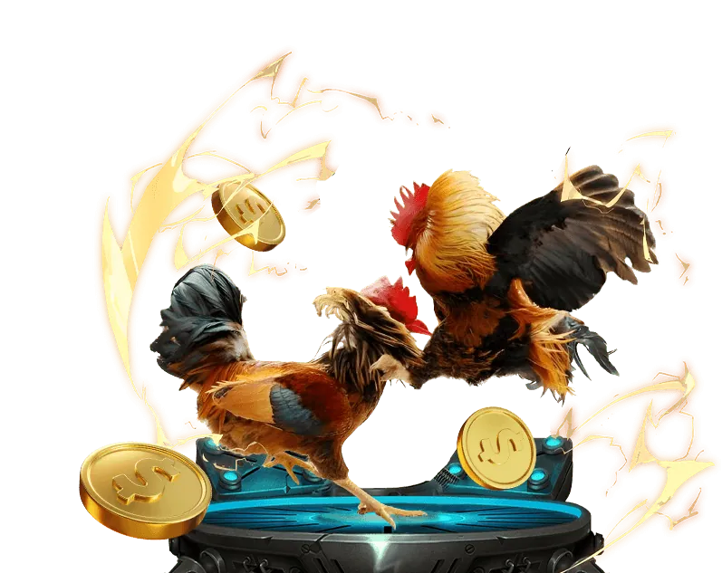 Minh họa các loại kèo cược đá gà phổ biến tại King 52